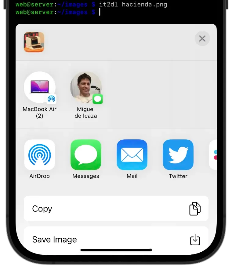 iPhone with share sheet open with options to share an image that was opened with the command `it2dl hacienda.png`